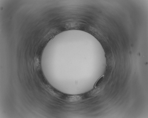 X0000074210087200609151607