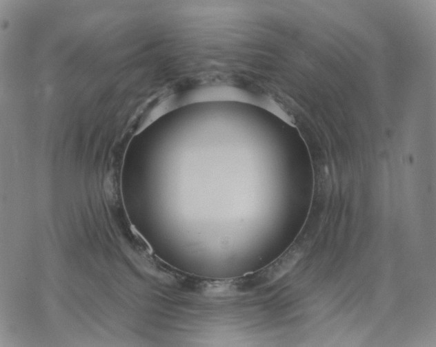 X0000074210088200609151607