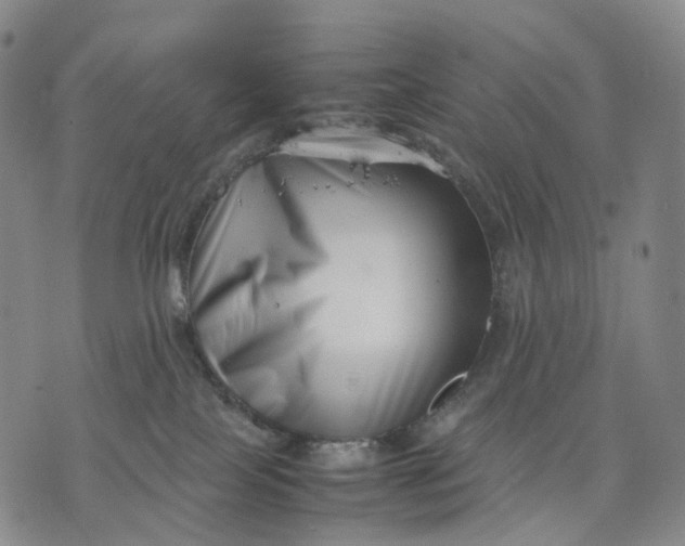 X0000074210089200609151607