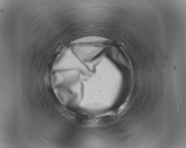 X0000074210090200609151607