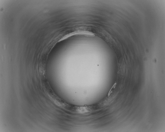 X0000074210091200609151607