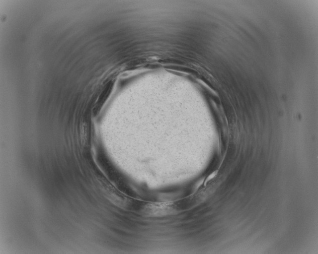 X0000074210093200609151607