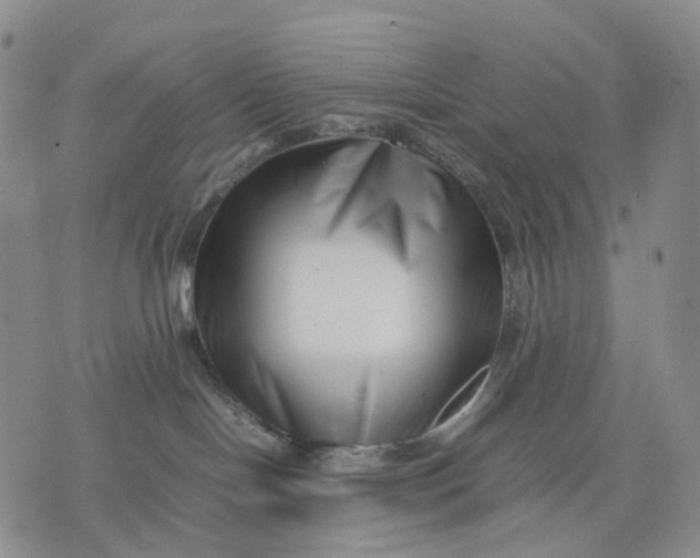 X0000074210094200609151607