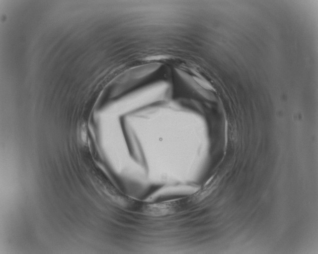 X0000074210095200609151607