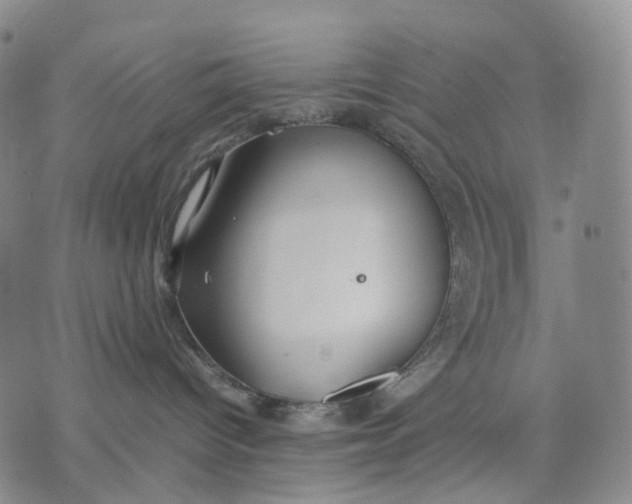 X0000074210096200609151607