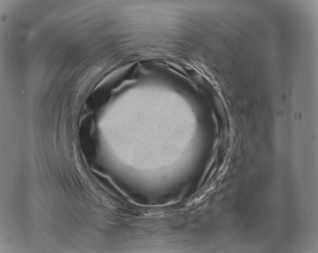 X0000074210097200609151606