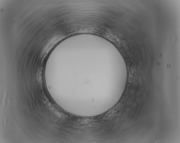 X0000074210098200609151606