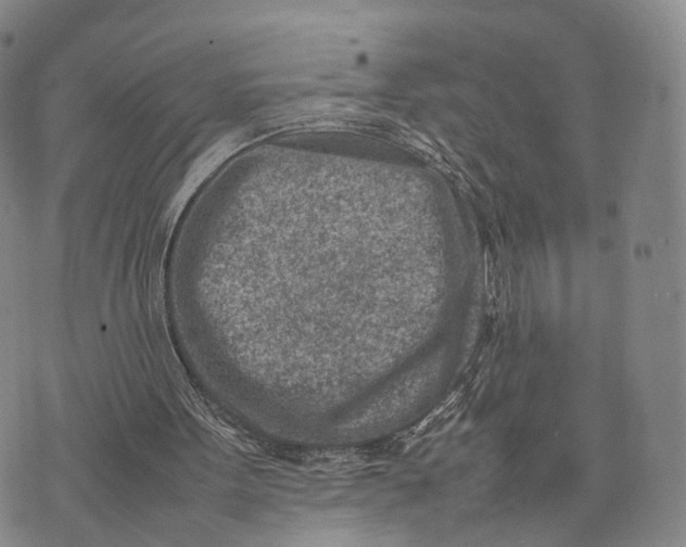 X0000074210099200609151606