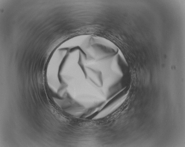 X0000074210100200609151606