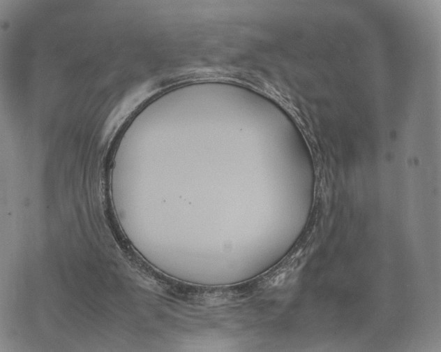 X0000074210103200609151606