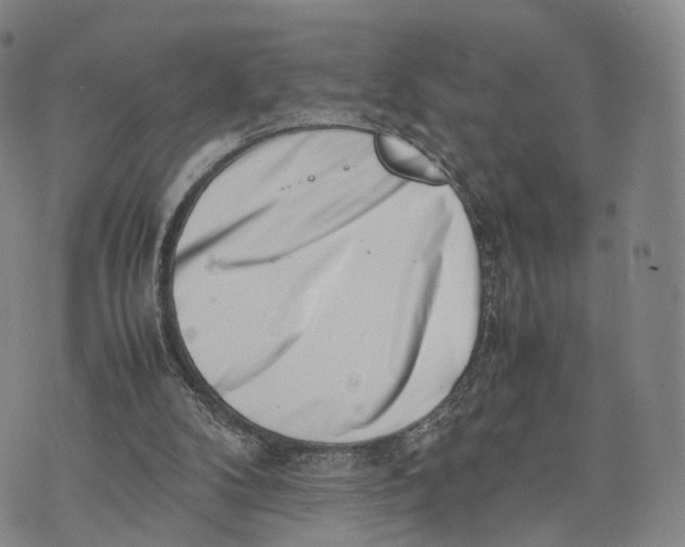 X0000074210104200609151606