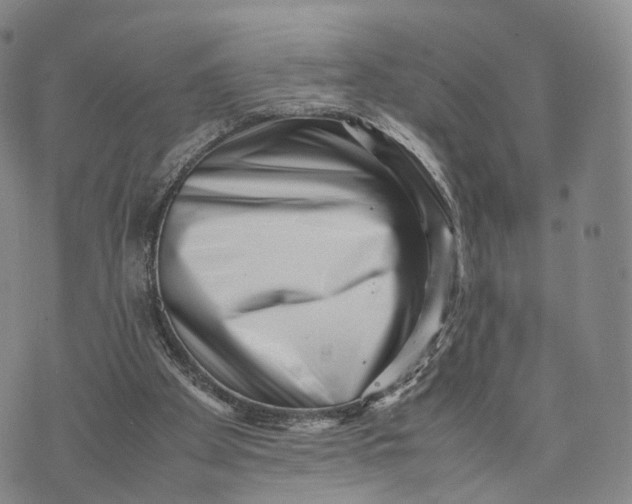 X0000074210105200609151606