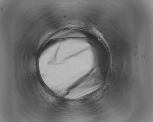 X0000074210106200609151606