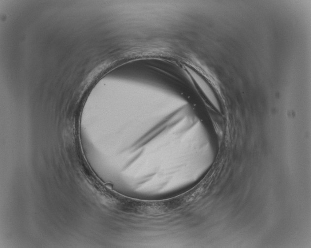 X0000074210107200609151606