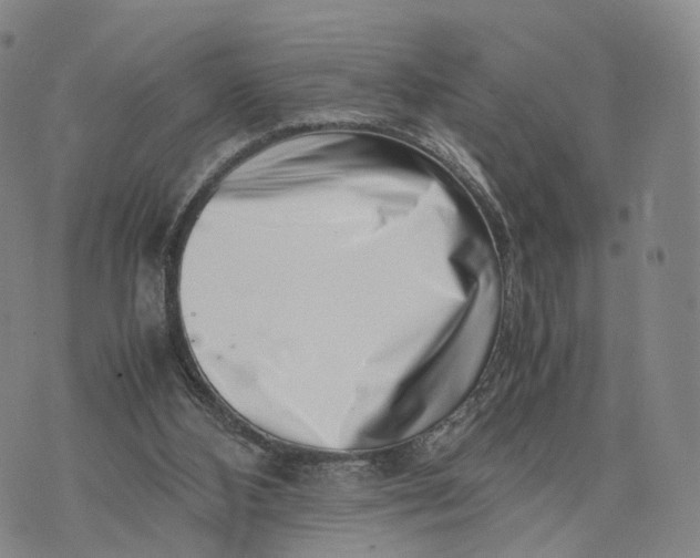 X0000074210108200609151606