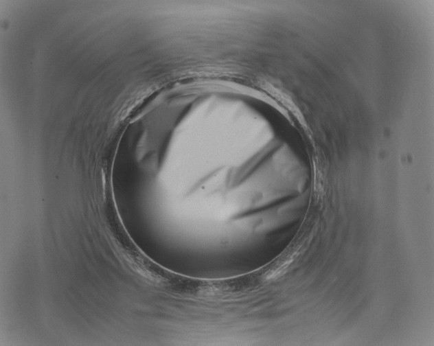 X0000074210109200609151606