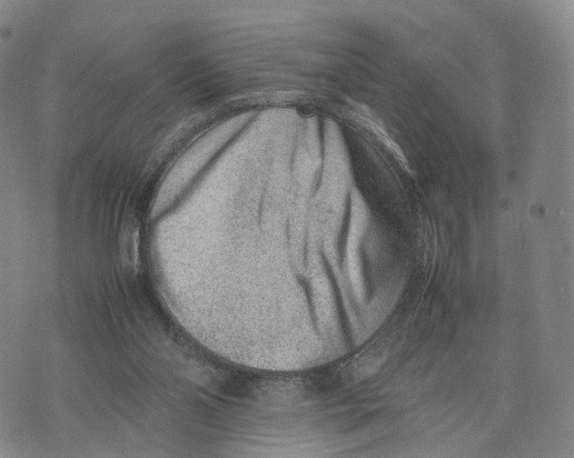 X0000074210110200609151606