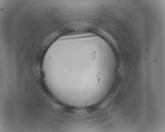 X0000074210113200609151606