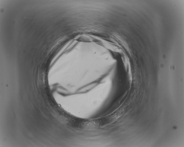 X0000074210115200609151606