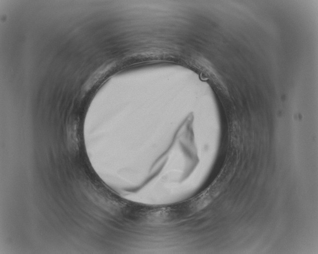 X0000074210116200609151606