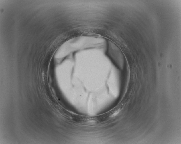 X0000074210117200609151606