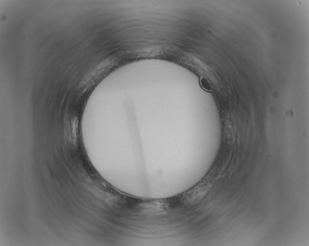 X0000074210118200609151606