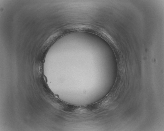 X0000074210119200609151606