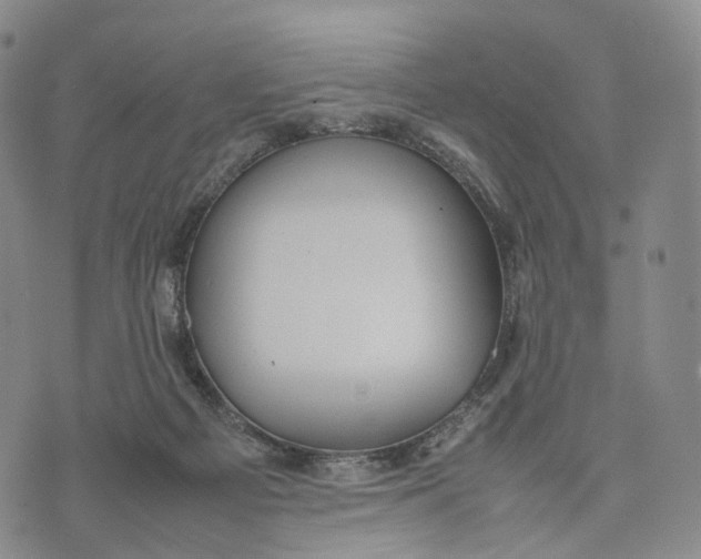 X0000074210121200609151606