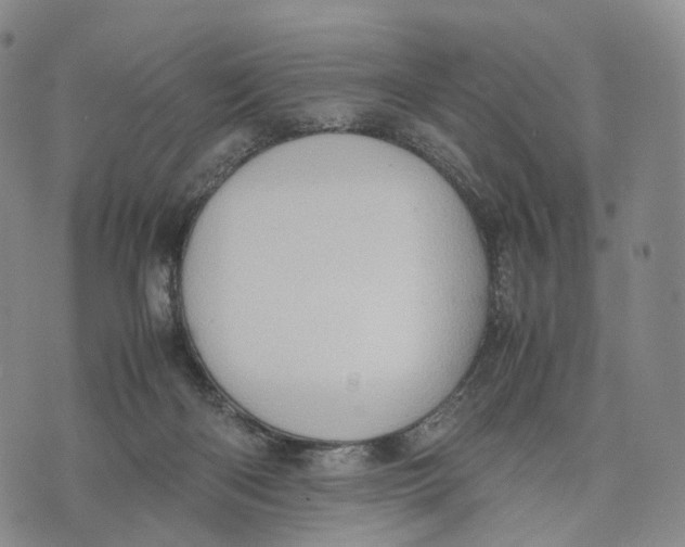 X0000074210122200609151606