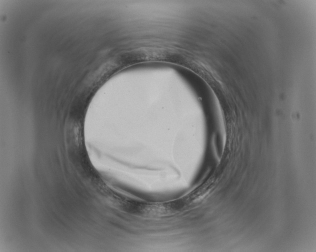 X0000074210123200609151606