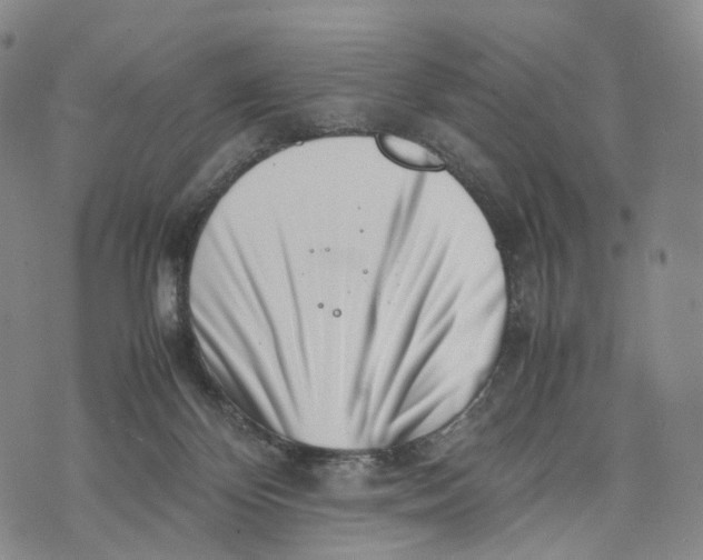 X0000074210124200609151606