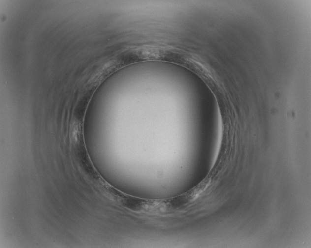 X0000074210125200609151606