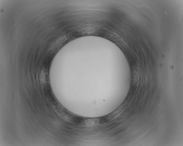 X0000074210126200609151606