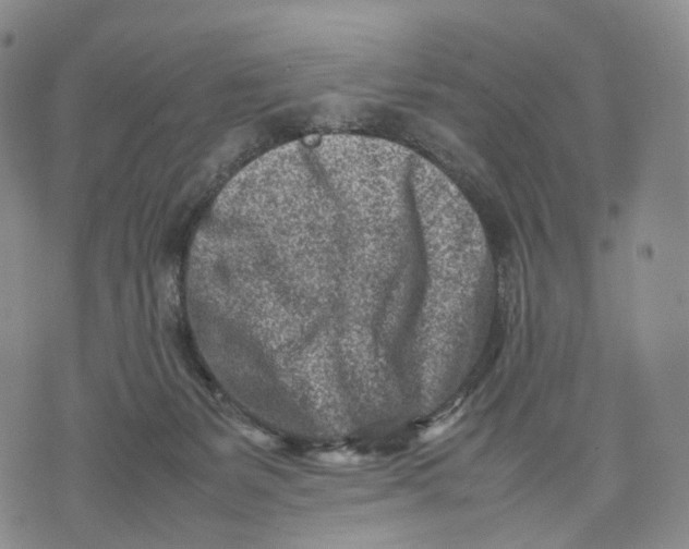 X0000074210127200609151606