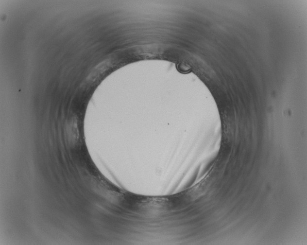 X0000074210128200609151606