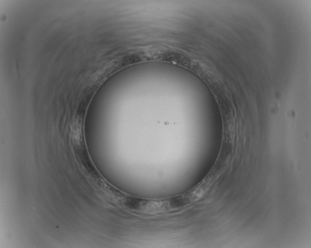 X0000074210129200609151606