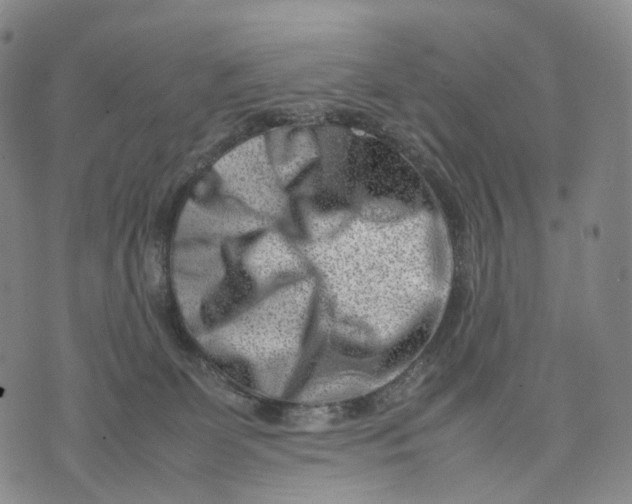 X0000074210131200609151606