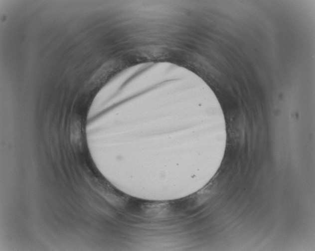 X0000074210132200609151606