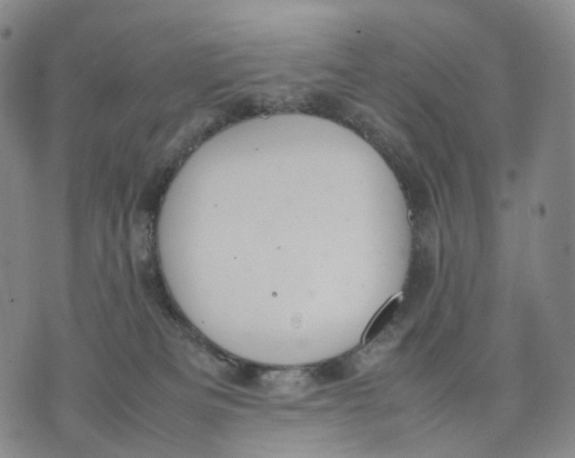 X0000074210133200609151606