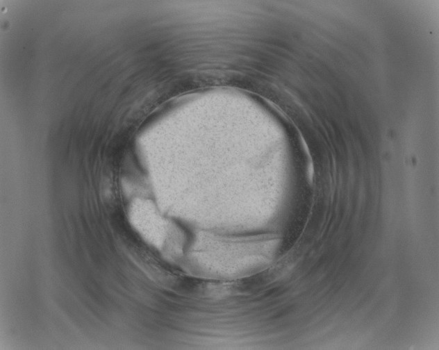 X0000074210134200609151606