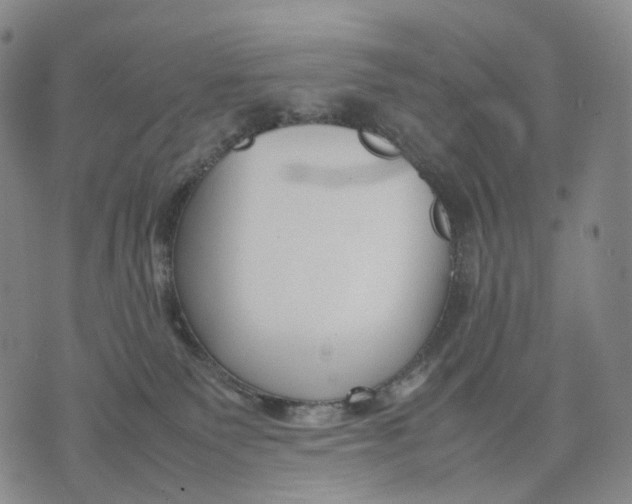 X0000074210135200609151606