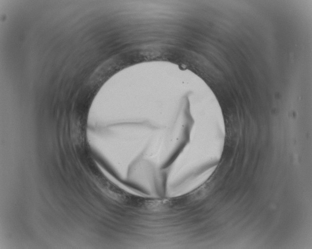 X0000074210136200609151606