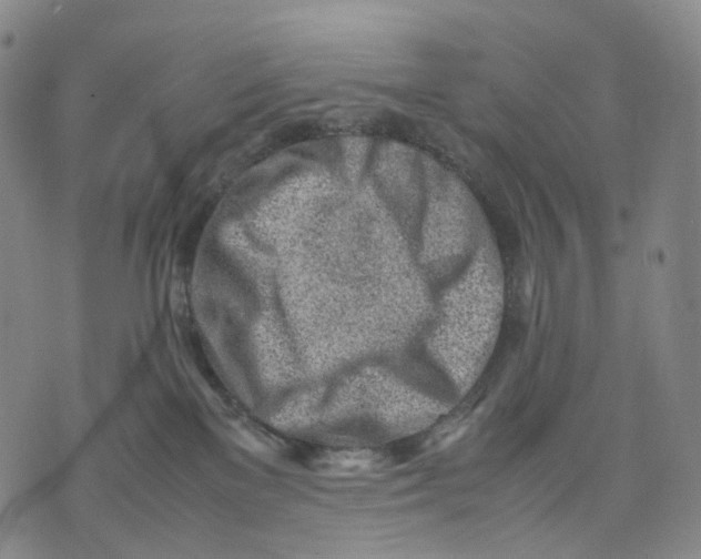 X0000074210137200609151606