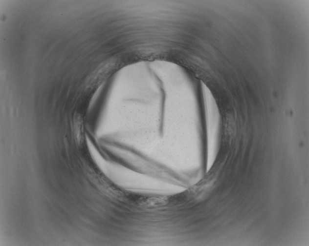 X0000074210138200609151606