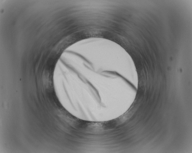 X0000074210140200609151605