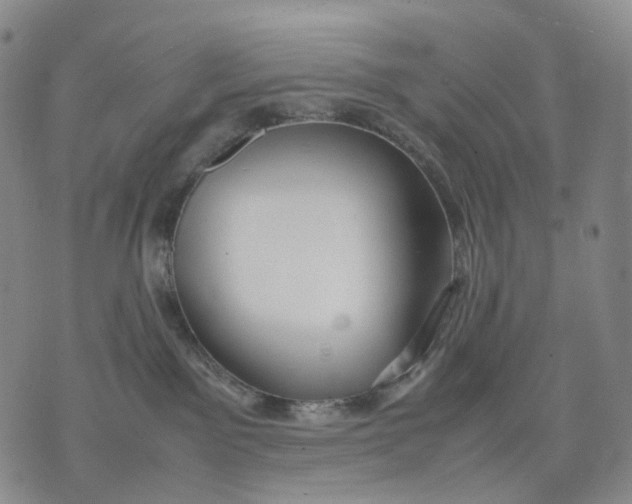 X0000074210141200609151605