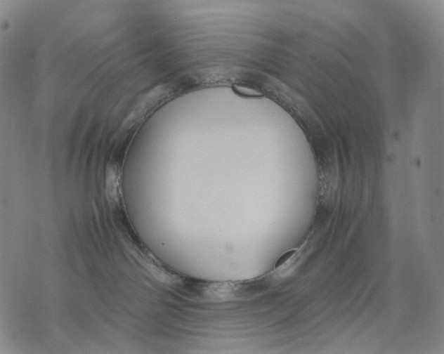 X0000074210142200609151605