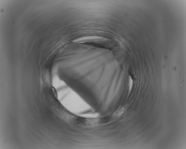 X0000074210143200609151605