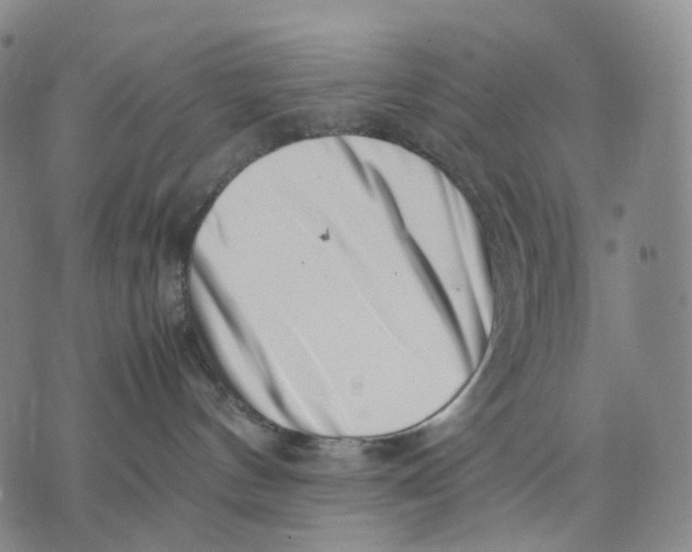 X0000074210144200609151605