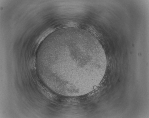 X0000074210146200609151605